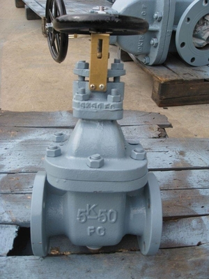 Marine Cast Iron Gate Valve JIS F7363 5K DN50--DN350