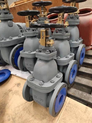 Marine Cast Iron Gate Valve JIS F7363 5K DN50--DN350