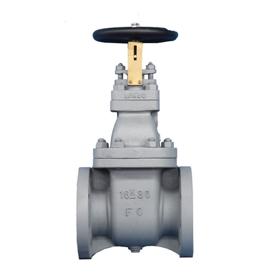 Cast Iron Gate Valve JIS F7369 16K