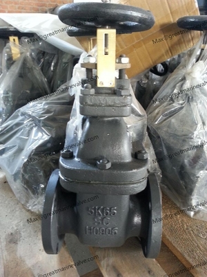 Marine Cast Steel Gate Valve JIS F7366 10K