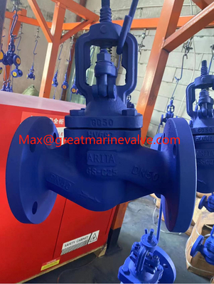 China best DIN GS-C25 Cast Iron globe valve company,(WJ41H)  DIN Standard  Globe Valve